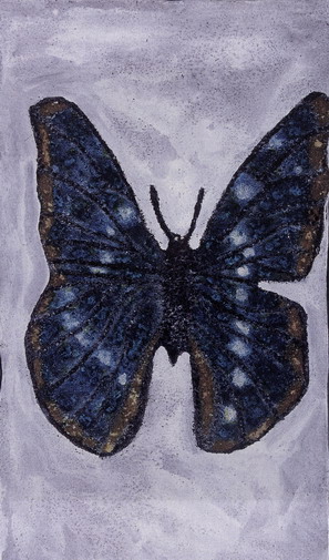 Papillon bleu 1970